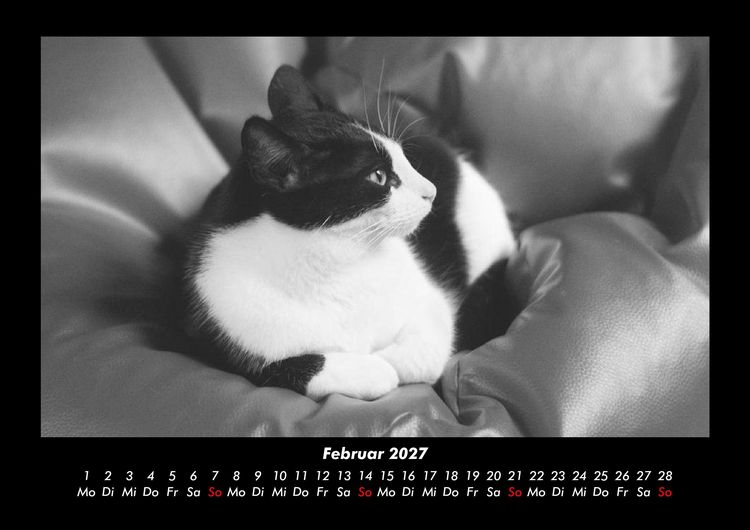 Produktbild: Welt der Tiere 2027 Fotokalender DIN A3
