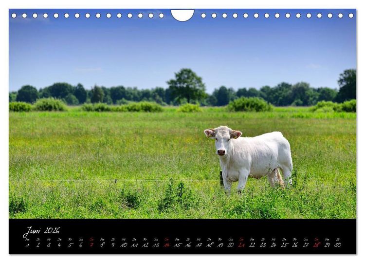 Produktbild: Vier- und Marschlande Hamburgs gr&uuml;ner S&uuml;dosten (Wandkalender 2026 DIN A4 quer), CALVENDO Monatskalender