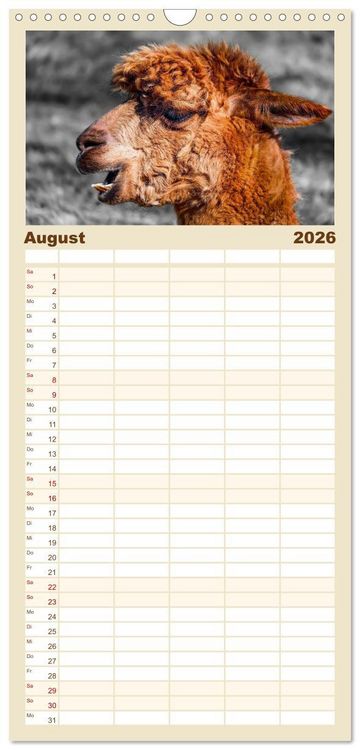 Produktbild: Familienplaner 2026 - Alpaka Gesichter mit 5 Spalten (Wandkalender, 21 x 45 cm) CALVENDO