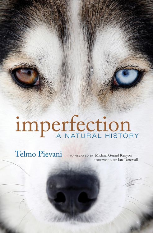 Produktbild: Imperfection