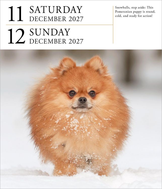 Produktbild: Dog Page-A-Day&reg; Gallery Calendar 2027
