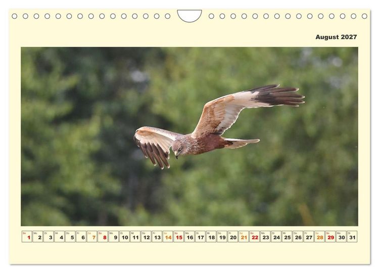 Produktbild: Tierwelt der W&uuml;mmeniederung (Wandkalender 2027 DIN A4 quer), CALVENDO Monatskalender