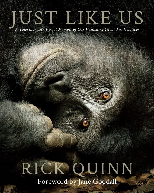 Produktbild: Just Like Us
