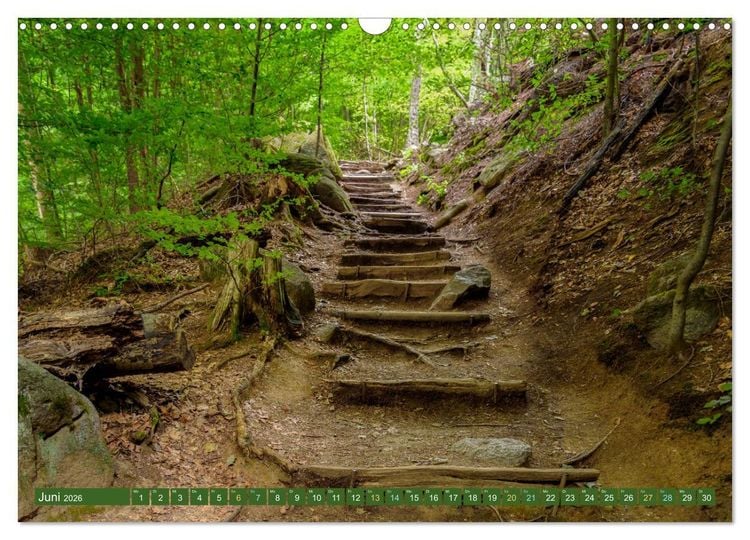 Produktbild: Das Felsenmeer - Natur pur im Odenwald (Wandkalender 2026 DIN A3 quer), CALVENDO Monatskalender