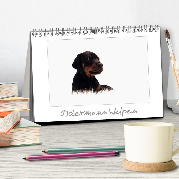 Produktbild: Dobermann Welpen (Tischkalender 2026 DIN A5 quer), CALVENDO Monatskalender