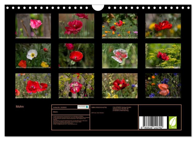 Produktbild: Mohn (Wandkalender 2026 DIN A4 quer), CALVENDO Monatskalender