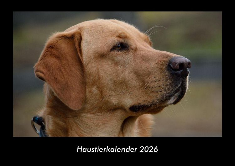 Produktbild: Haustierkalender 2026 Fotokalender DIN A3