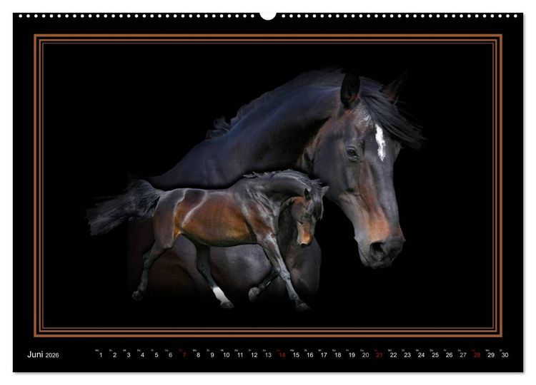 Produktbild: Traumpferde-ART-Collection (Wandkalender 2026 DIN A2 quer), CALVENDO Monatskalender