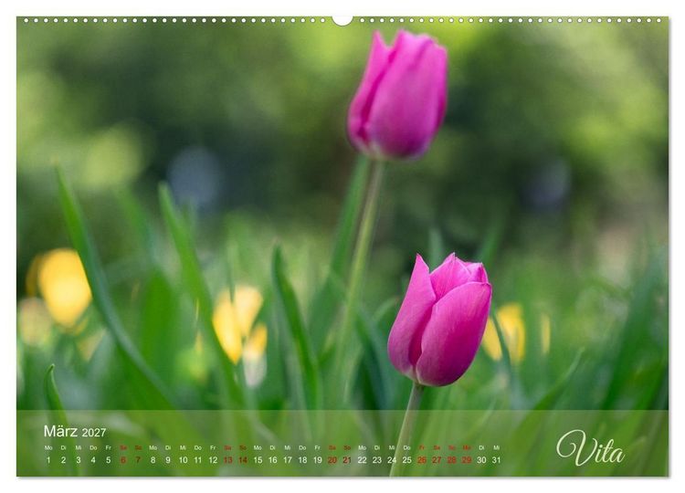 Produktbild: Tulipa et Verba &ndash; Tulpenbl&uuml;ten und stille W&ouml;rter (hochwertiger Premium Wandkalender 2027 DIN A2 quer), Kunstdruck in Hochglanz