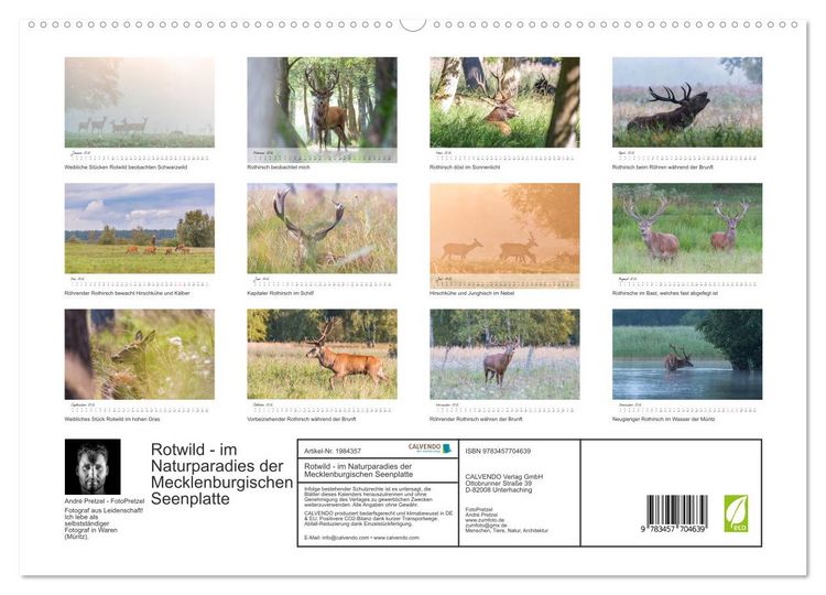 Produktbild: Rotwild - im Naturparadies der Mecklenburgischen Seenplatte (hochwertiger Premium Wandkalender 2026 DIN A2 quer), Kunstdruck in Hochglanz