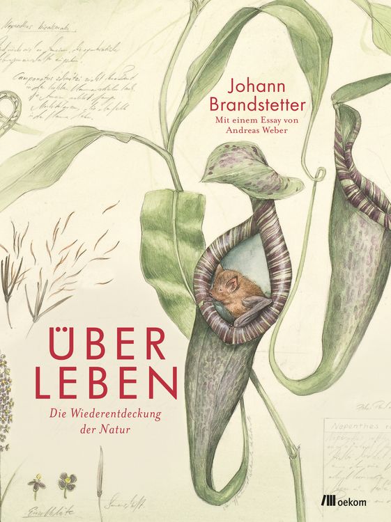 Produktbild: &Uuml;ber Leben