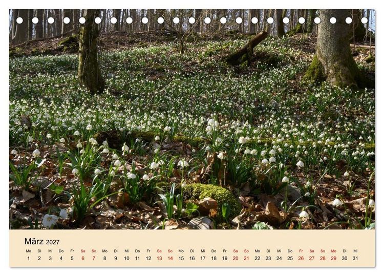 Produktbild: Franken - eine Region voller Naturwunder (Tischkalender 2027 DIN A5 quer), CALVENDO Monatskalender