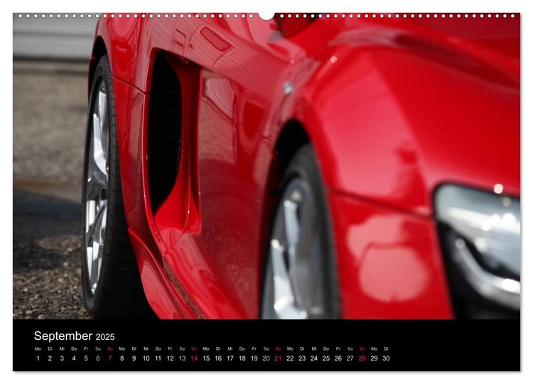 Produktbild: Vollblut-Sportler (Wandkalender 2025 DIN A2 quer), CALVENDO Monatskalender