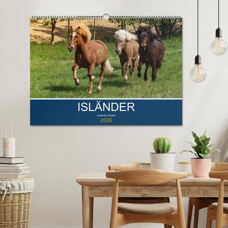 Produktbild: Isl&auml;nder - icelandic horses (Wandkalender 2026 DIN A2 quer), CALVENDO Monatskalender