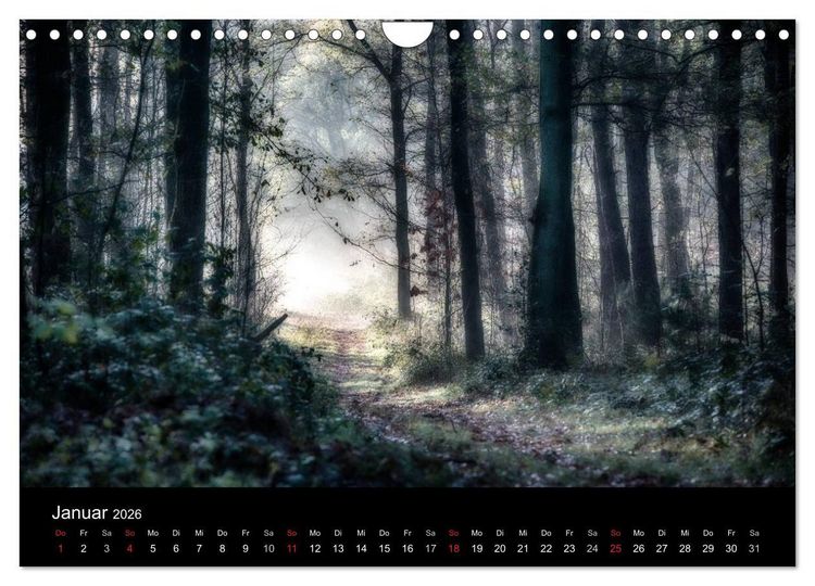Produktbild: Mystische W&auml;lder (Wandkalender 2026 DIN A4 quer), CALVENDO Monatskalender