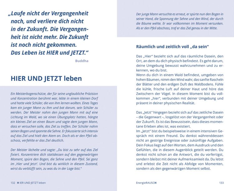 Produktbild: EnergieRAUSCH &ndash; Schluss mit Antriebslosigkeit, Stress und Sorgen