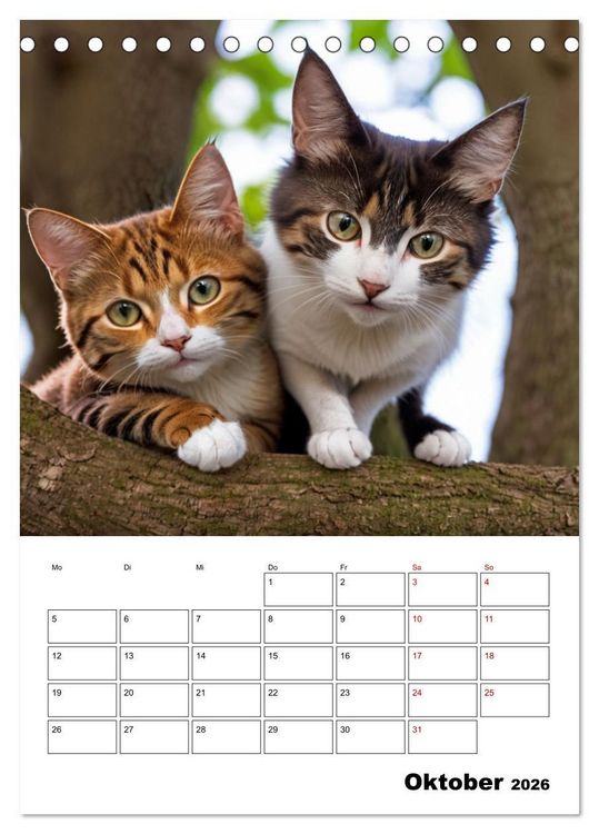 Produktbild: Mit Tieren hinein in das neue Jahr (Tischkalender 2026 DIN A5 hoch), CALVENDO Monatskalender