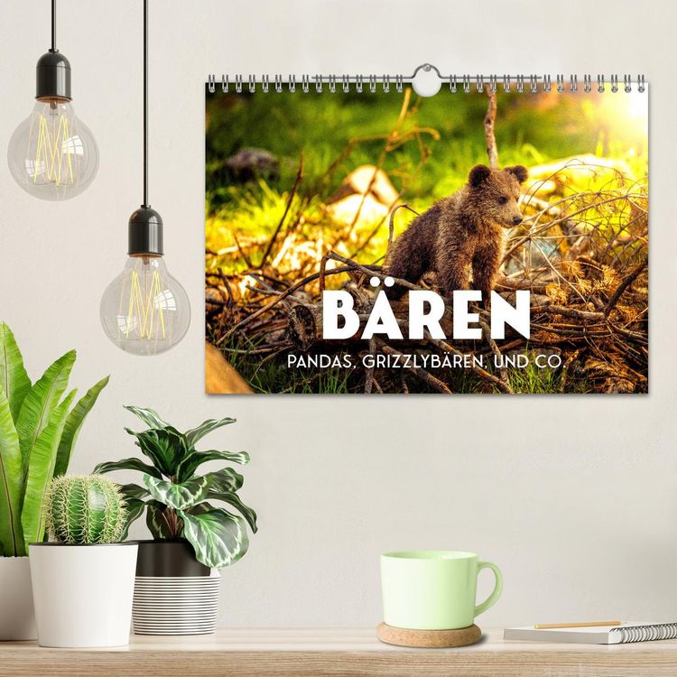 Produktbild: B&auml;ren - Pandas, Grizzlyb&auml;ren und Co. (Wandkalender 2026 DIN A4 quer), CALVENDO Monatskalender