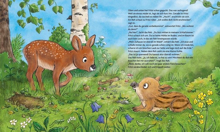 Produktbild: Wie wohnen die Waldtiere?