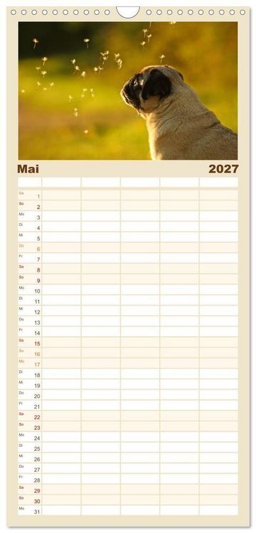 Produktbild: Familienplaner 2027 - Lustige M&ouml;pse aus der Hundeknipserei mit 5 Spalten (Wandkalender, 21 x 45 cm) CALVENDO