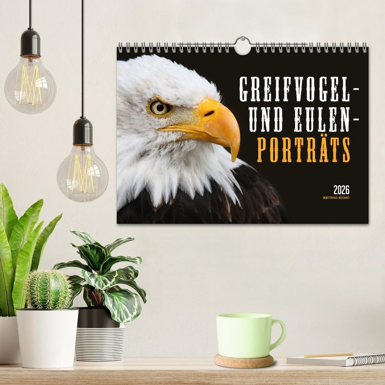 Produktbild: GREIFVOGEL- UND EULENPORTR&Auml;TS (Wandkalender 2026 DIN A4 quer), CALVENDO Monatskalender