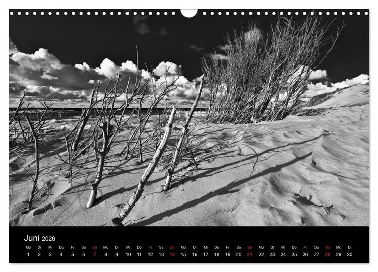 Produktbild: Strandspaziergang an der Ostsee (Wandkalender 2026 DIN A3 quer), CALVENDO Monatskalender