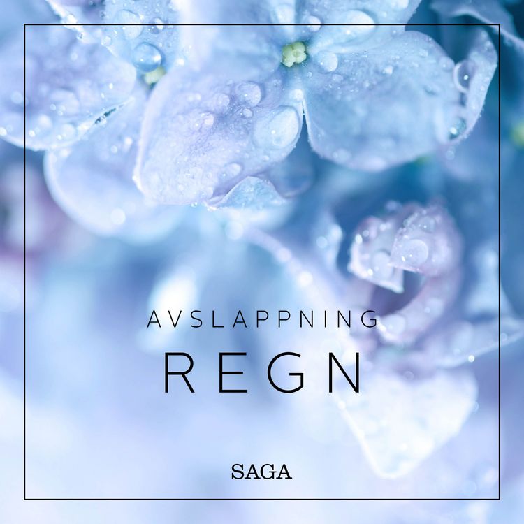 Produktbild: Avslappning - Regn
