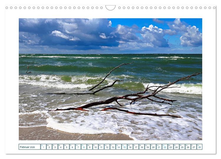 Produktbild: Der Weststrand am Dar&szlig; (Wandkalender 2026 DIN A3 quer), CALVENDO Monatskalender
