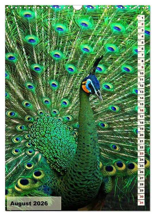 Produktbild: Colourful birds (Wall Calendar 2026 DIN A3 portrait), CALVENDO 12 Month Wall Calendar