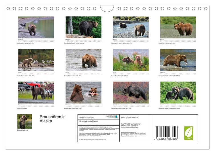 Produktbild: Braunb&auml;ren in Alaska (Wandkalender 2026 DIN A4 quer), CALVENDO Monatskalender