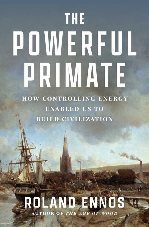 Produktbild: The Powerful Primate