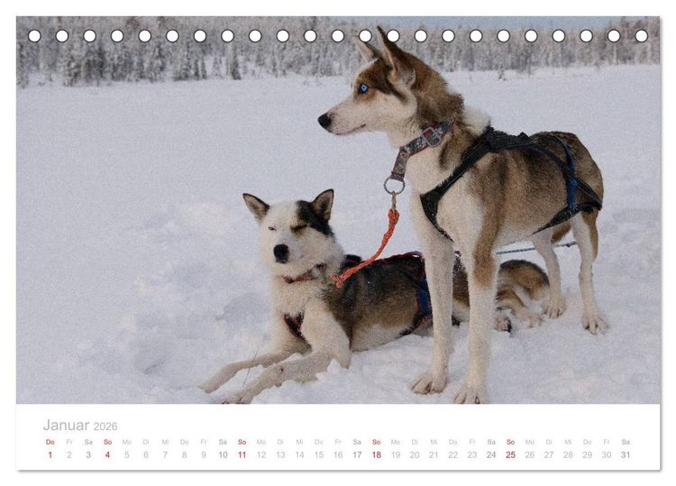 Produktbild: Heimat der Samen (Tischkalender 2026 DIN A5 quer), CALVENDO Monatskalender