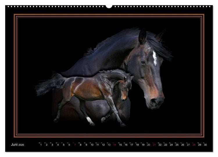 Produktbild: Traumpferde-ART-Collection (Wandkalender 2026 DIN A2 quer), CALVENDO Monatskalender