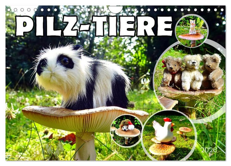 Produktbild: Pilz-Tiere (Wandkalender 2026 DIN A4 quer), CALVENDO Monatskalender