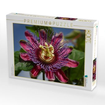 Produktbild: CALVENDO Puzzle Passiflora - Passionsblume | 1000 Teile Lege-Gr&ouml;&szlig;e 64x48cm Foto-Puzzle f&uuml;r gl&uuml;ckliche Stunden