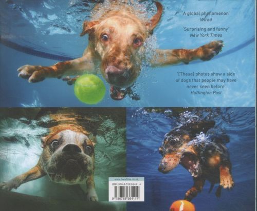 Produktbild: Underwater Dogs