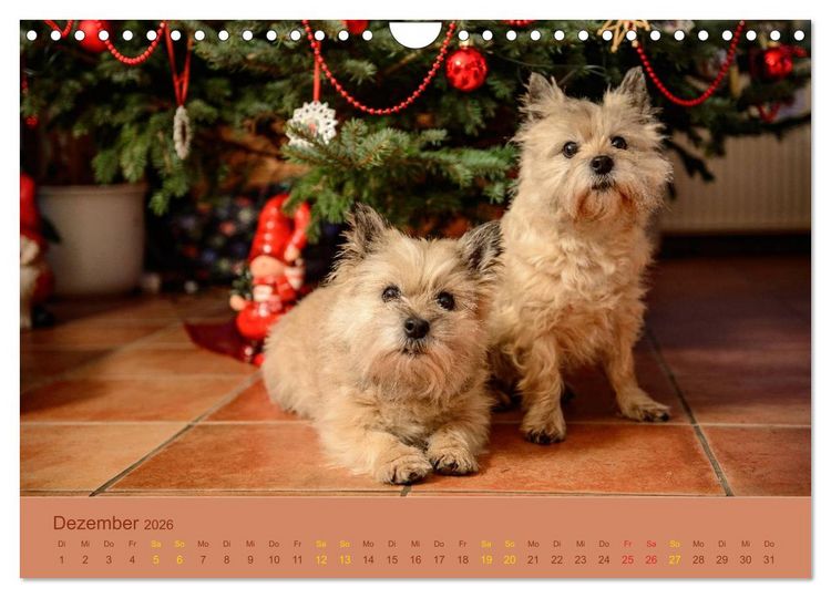 Produktbild: Cairns Forever (Wandkalender 2026 DIN A4 quer), CALVENDO Monatskalender