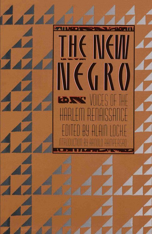 Produktbild: The New Negro