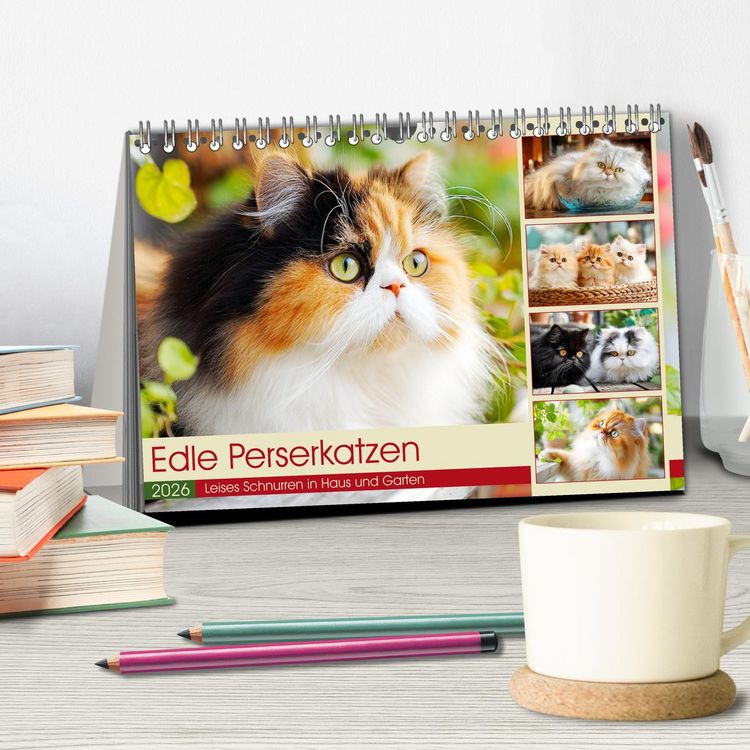 Produktbild: Edle Perserkatzen. Leises Schnurren in Haus und Garten (Tischkalender 2026 DIN A5 quer), CALVENDO Monatskalender
