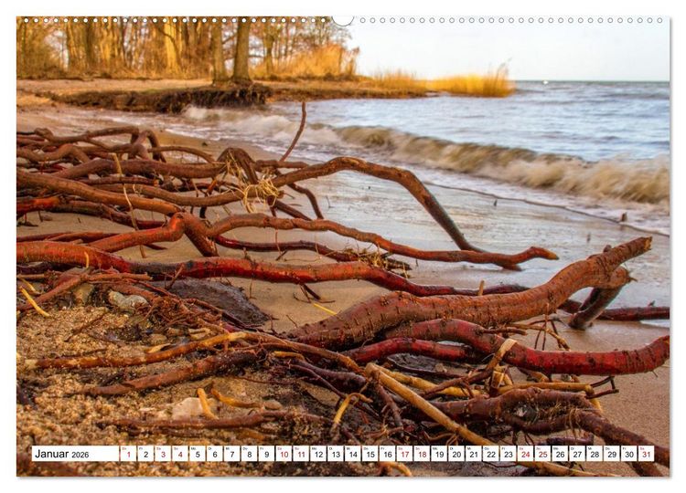 Produktbild: Naturparadies Zierow - Ostsee Idylle pur in der Wismarer Bucht (hochwertiger Premium Wandkalender 2026 DIN A2 quer), Kunstdruck in Hochglanz