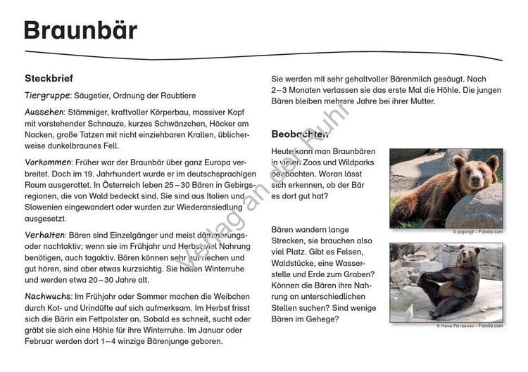 Produktbild: Waldtiere
