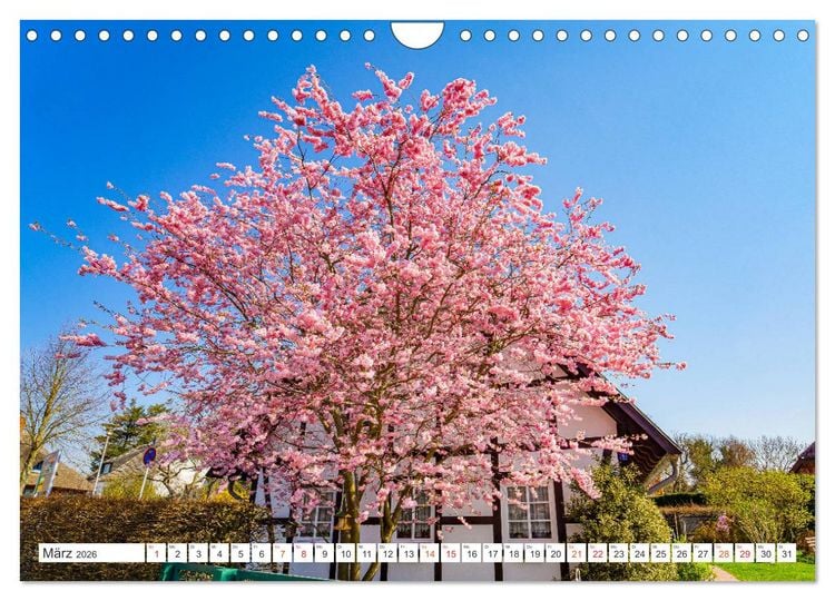 Produktbild: Wustrow Impressionen (Wandkalender 2026 DIN A4 quer), CALVENDO Monatskalender
