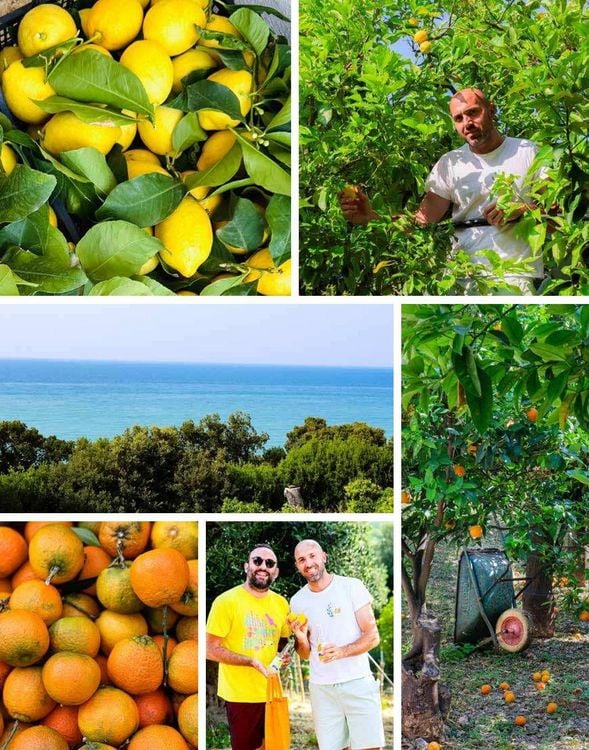 Produktbild: Amore per Puglia
