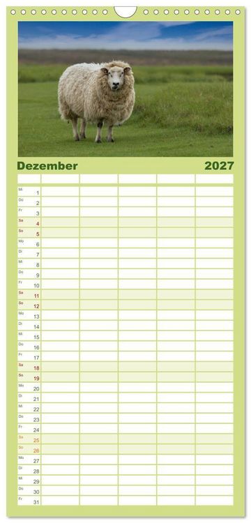 Produktbild: Familienplaner 2027 - Deichschafe - H&uuml;ter der Deiche in Nordfriesland mit 5 Spalten (Wandkalender, 21 x 45 cm) CALVENDO