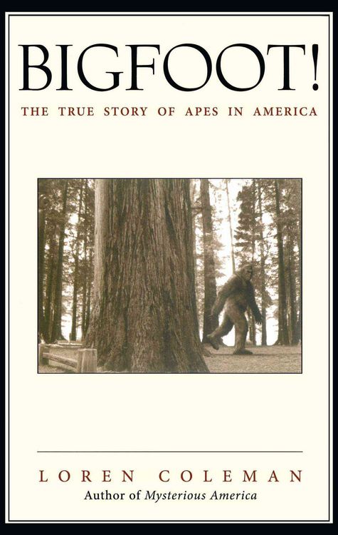 Produktbild: Bigfoot!
