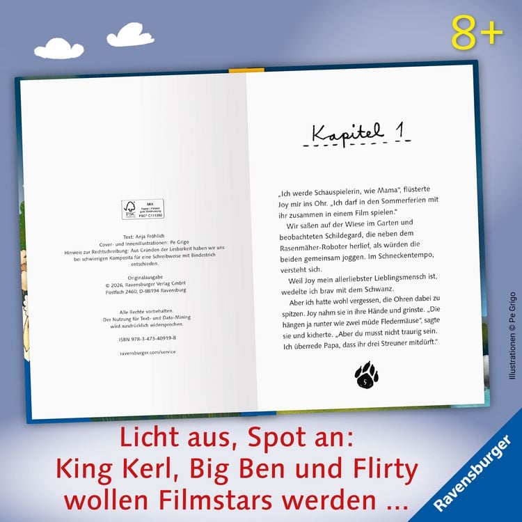 Produktbild: 3 Streuner werden Filmstars