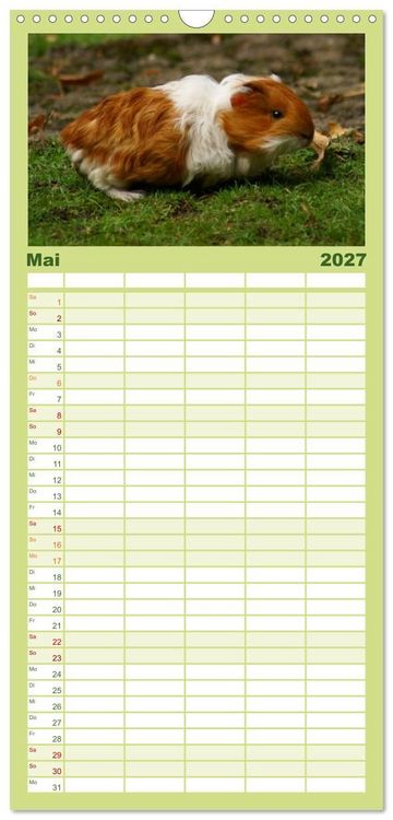Produktbild: Familienplaner 2027 - Kuschelige Meerschweinchen mit 5 Spalten (Wandkalender, 21 x 45 cm) CALVENDO