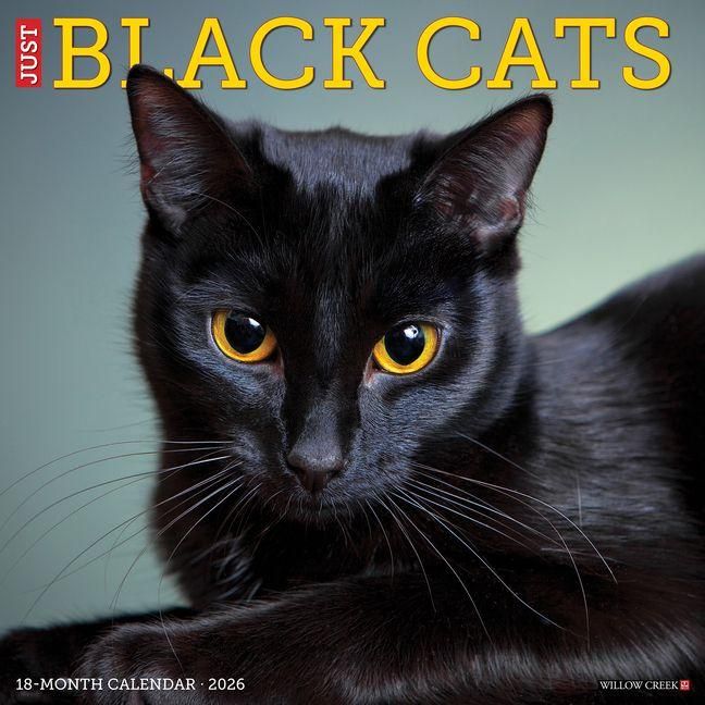 Produktbild: Black Cats 2026 Wall Calendar