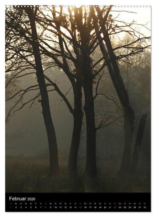 Produktbild: Wunderbarer Spreewald (Wandkalender 2026 DIN A2 hoch), CALVENDO Monatskalender