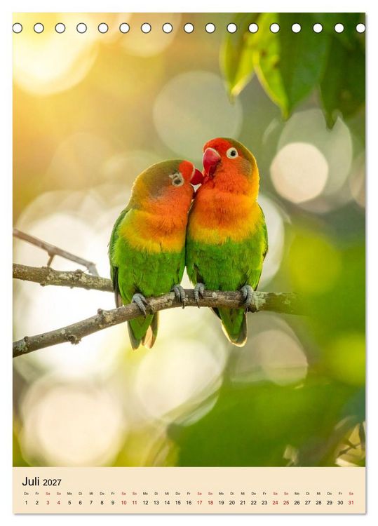 Produktbild: Lovebirds Harmonie (Tischkalender 2027 DIN A5 hoch), CALVENDO Monatskalender